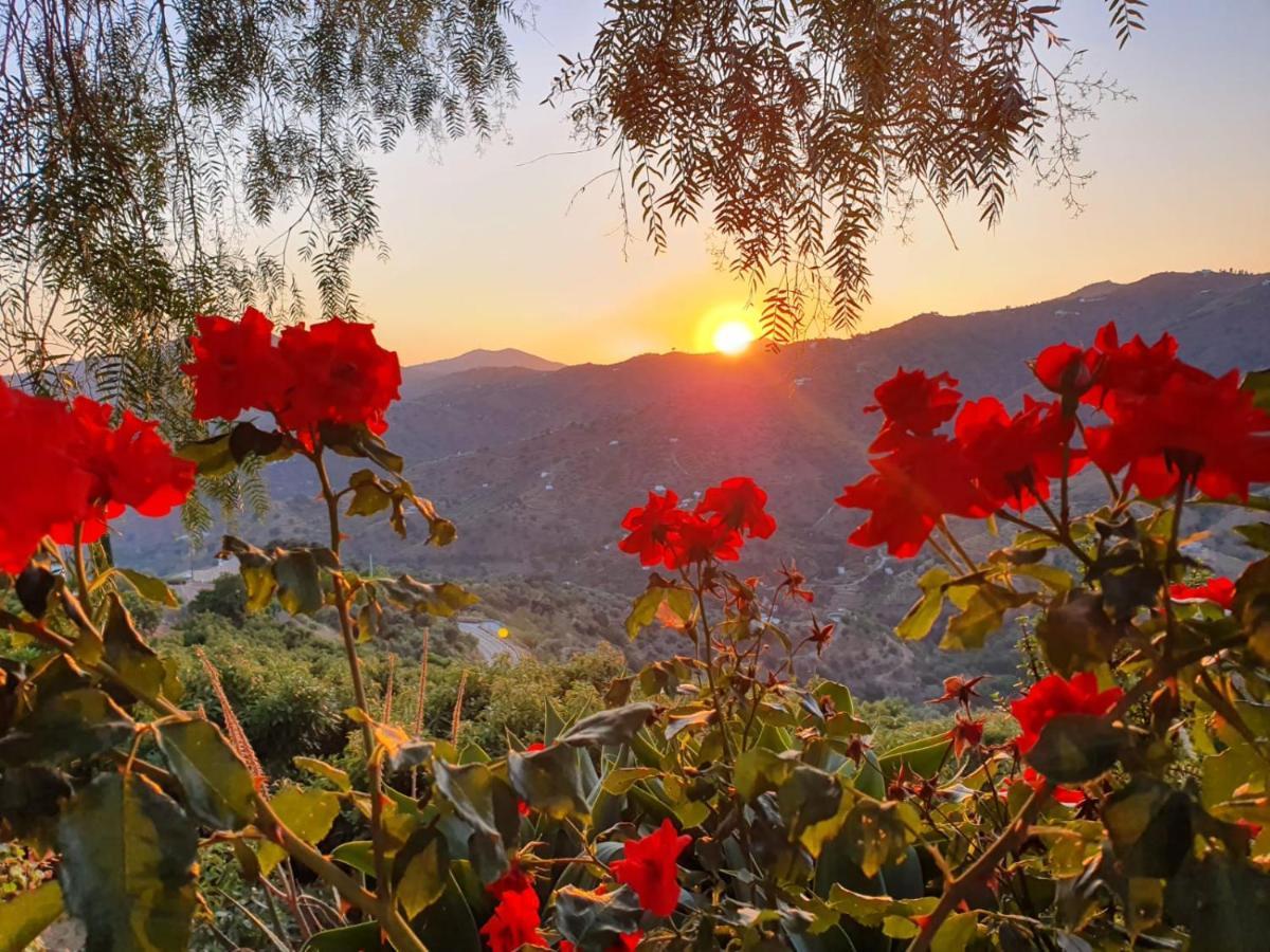 Cortijo La Rijana Villa Sayalonga Eksteriør billede
